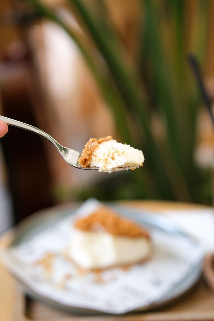 Close-up of a spoon with creamy cheesecake, blurred background suggesting an inviting setting.